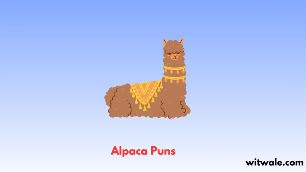 Alpaca Puns