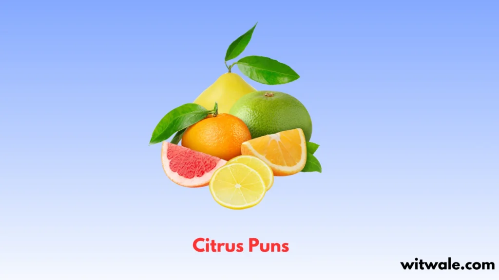 Citrus Puns
