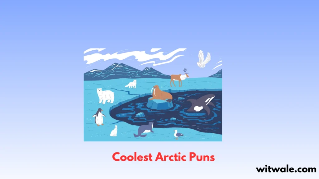 Coolest Arctic Puns