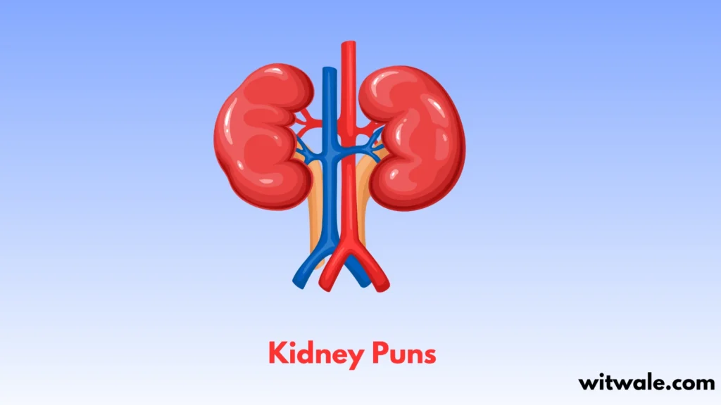 Kidney Puns