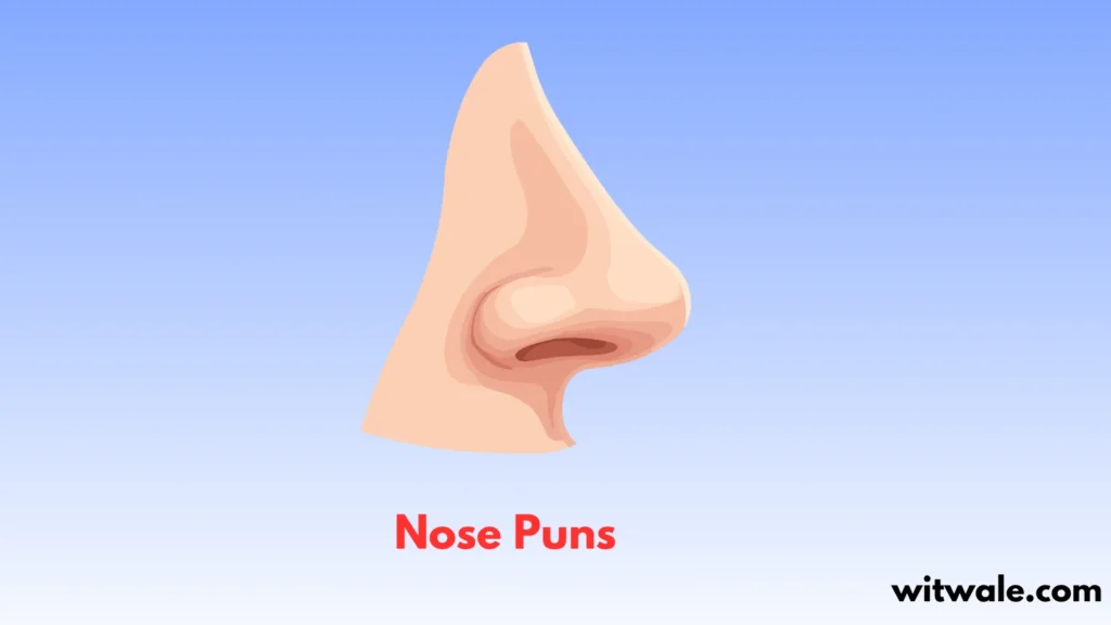 Nose Puns