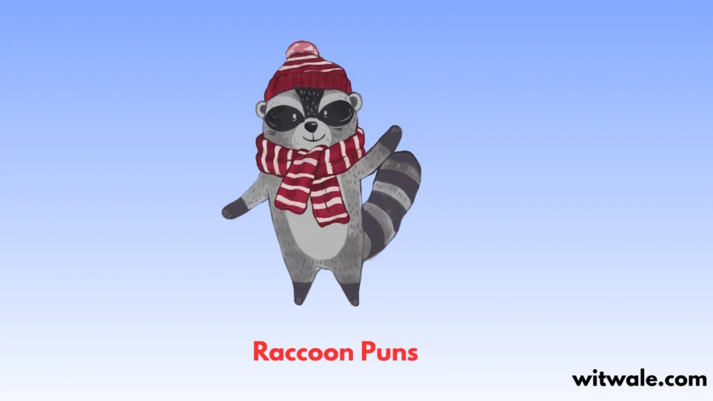 Raccoon Puns