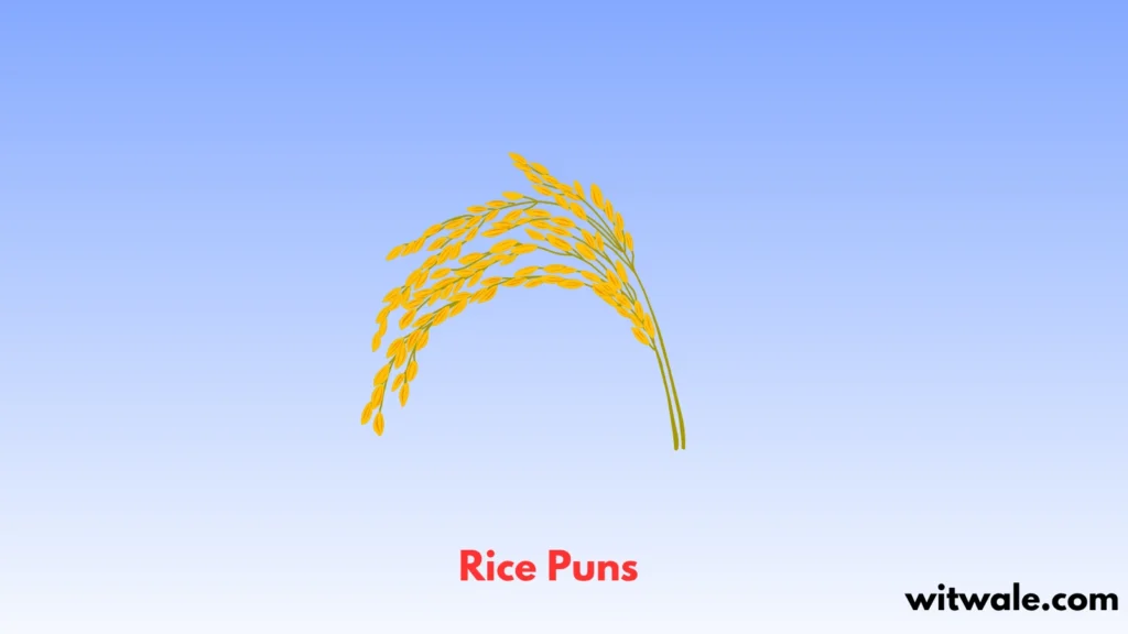 Rice Puns