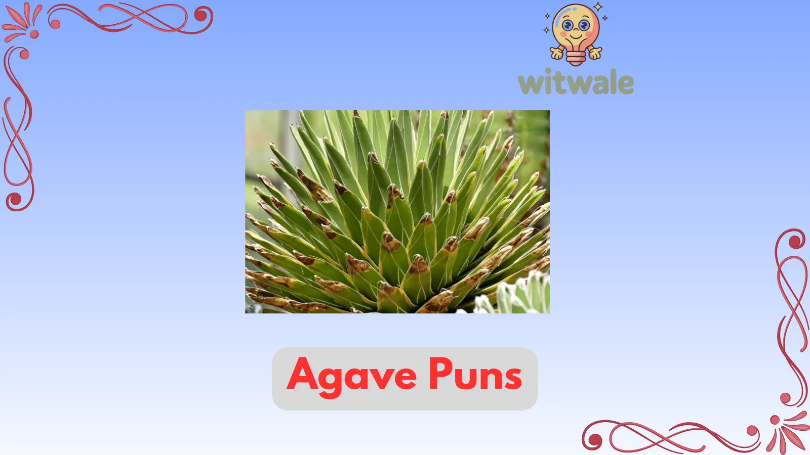 agave puns