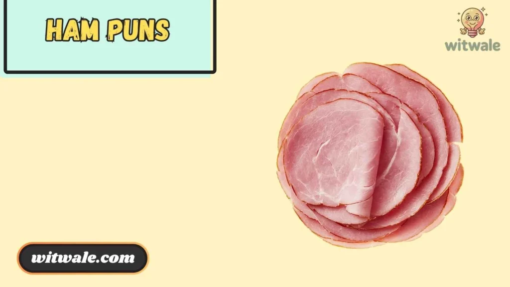 Ham Puns One Liners