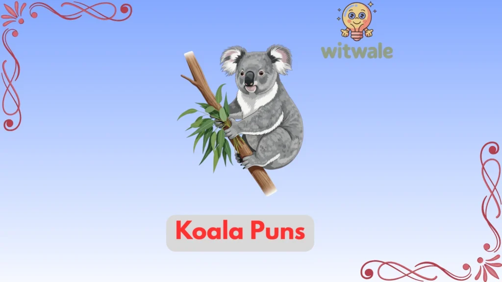 Koala Puns