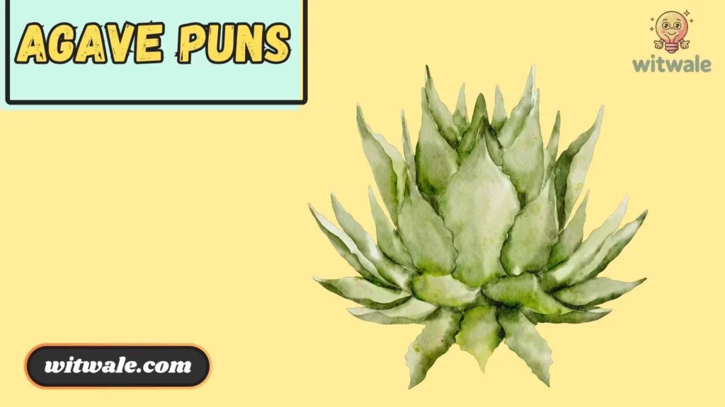 Short agave jokes for kids and family