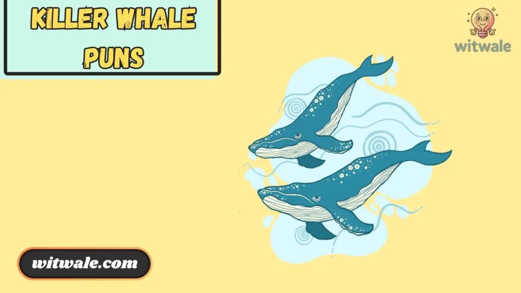 Killer Whale Puns