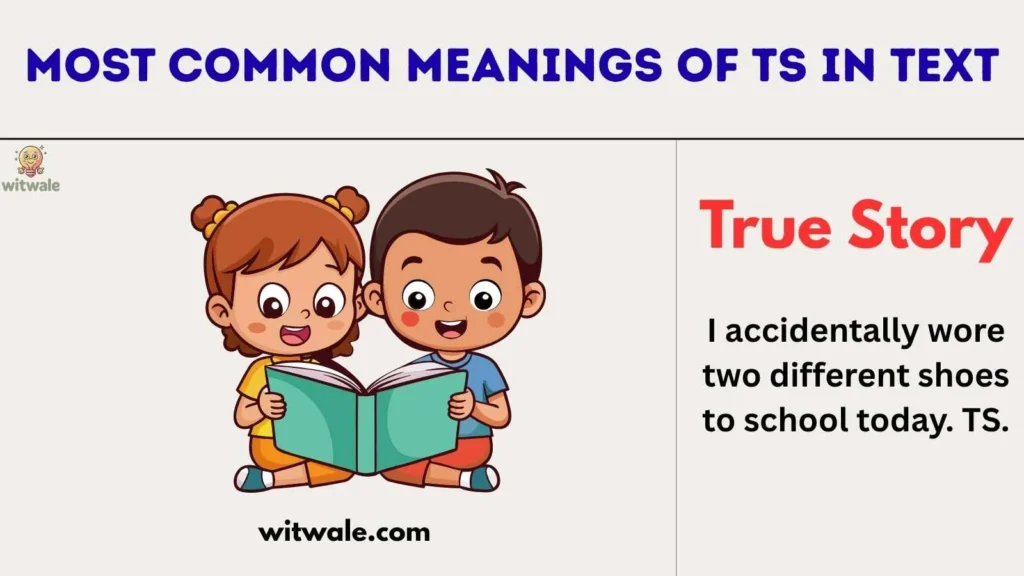 Most Common Meanings of TS in Text