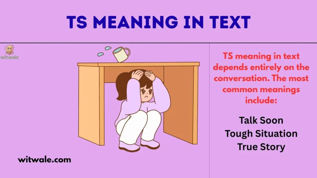 TS Meaning in Text