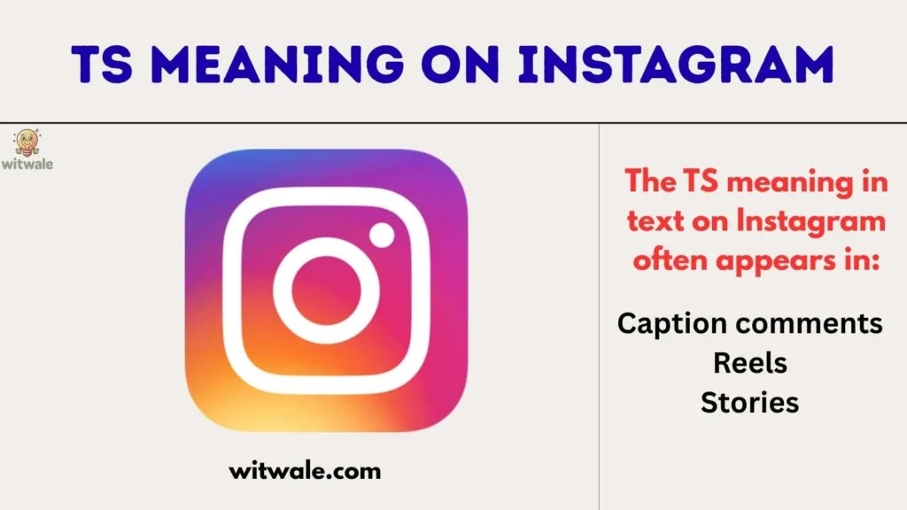 TS Meaning on Instagram