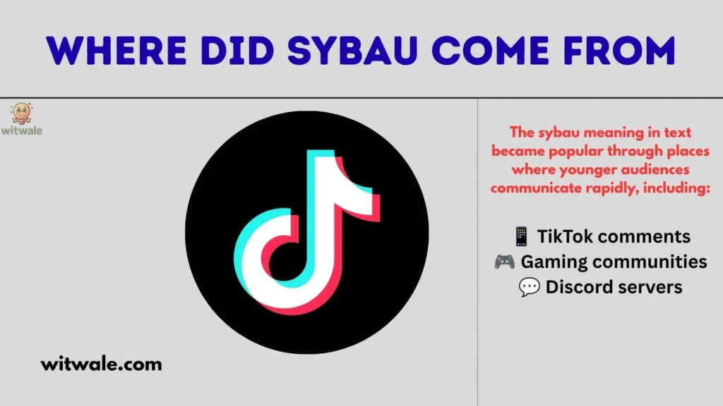 Where Did SYBAU Come From