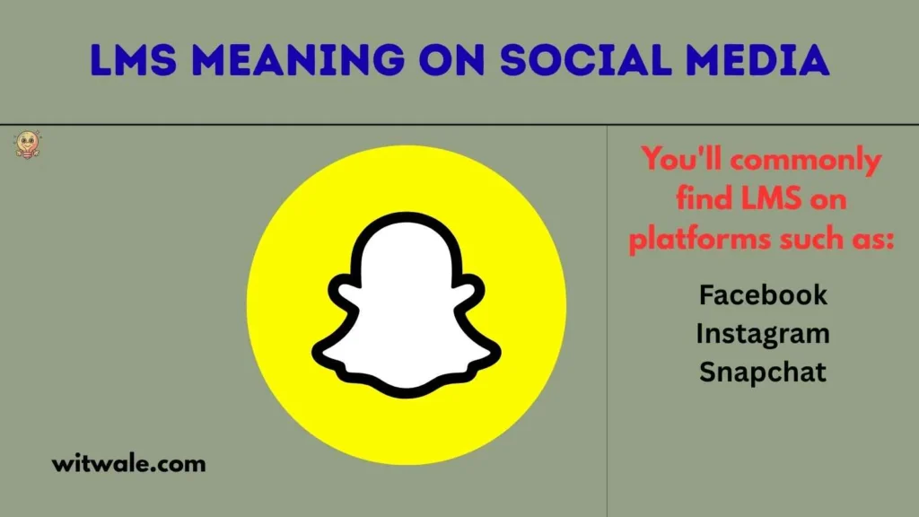 LMS Meaning on Social Media