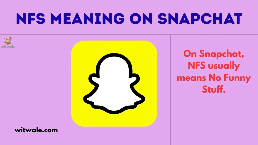 NFS Meaning on Snapchat